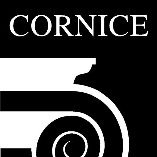 קרניז – תכנון אדריכלי וחשמל ב- BIM